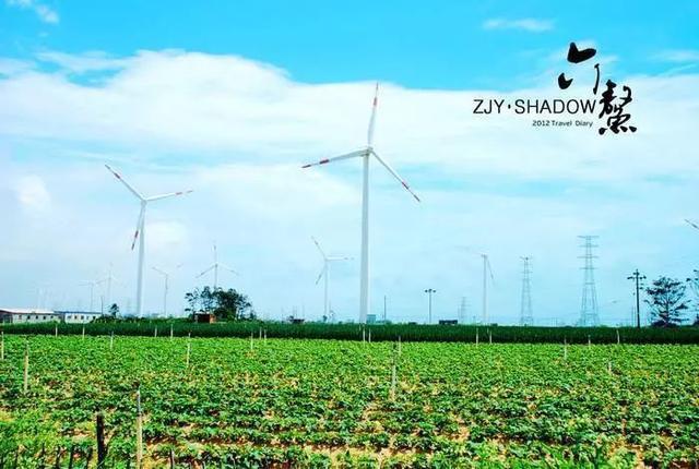 富硒烤地瓜做法（富硒地瓜的做法）-硒宝网