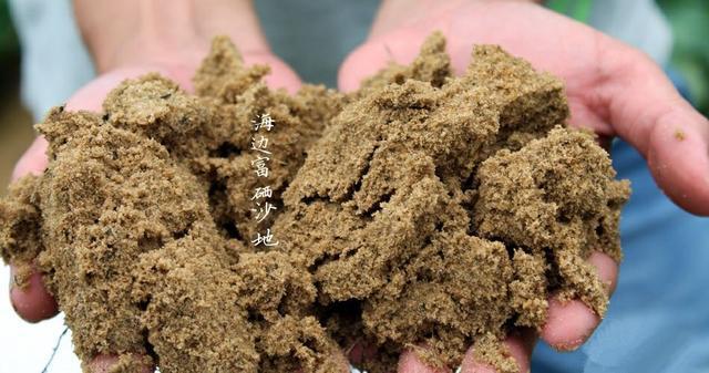 富硒烤地瓜做法（富硒地瓜的做法）-硒宝网