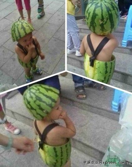 富硒地瓜多少钱（富硒地瓜与普通地瓜的区别）-硒宝网