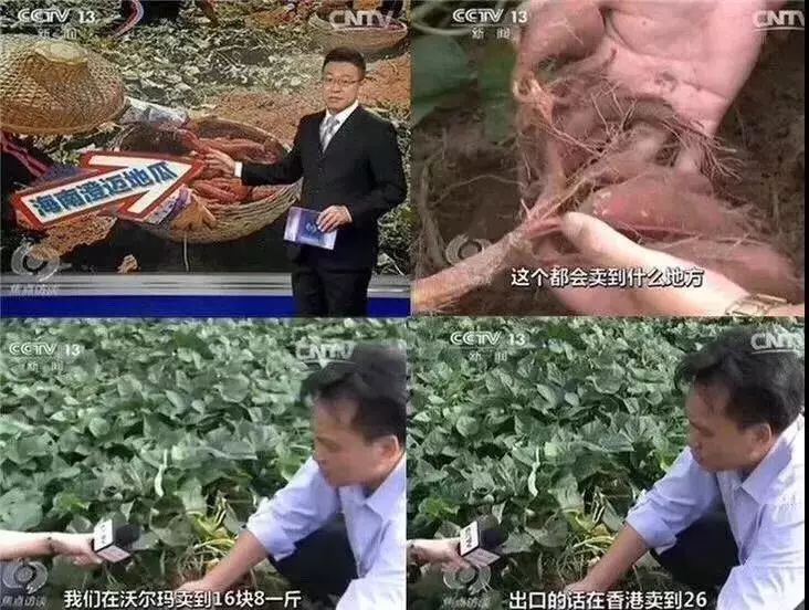 富硒地瓜蒸多久(富硒地瓜怎么吃好吃)-硒宝网