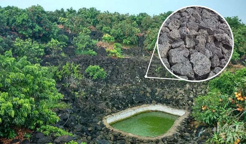 富硒地瓜蒸多久(富硒地瓜怎么吃好吃)-硒宝网