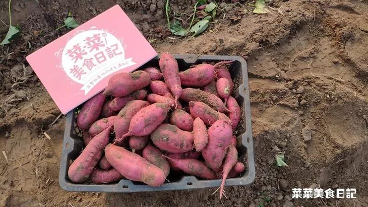 富硒地瓜好卖吗（富硒地瓜的骗局）-硒宝网