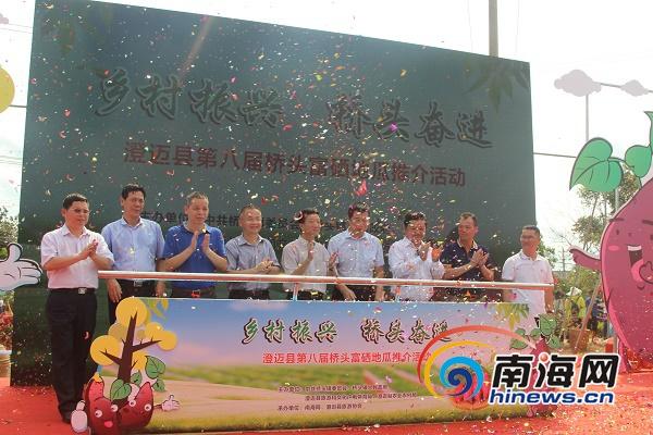 有富硒地瓜苗吗(富硒地瓜营养价值)-硒宝网