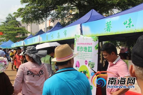 有富硒地瓜苗吗(富硒地瓜营养价值)-硒宝网