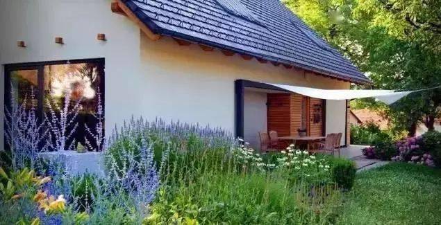 篱笆岛富硒地瓜（篱笆岛富硒地瓜）-硒宝网