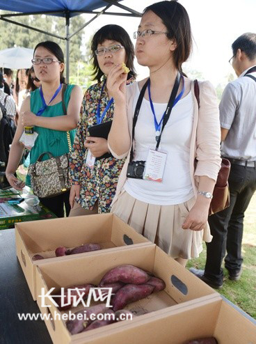 富硒地瓜容易坏（坏地瓜容易富硒嘛）-硒宝网