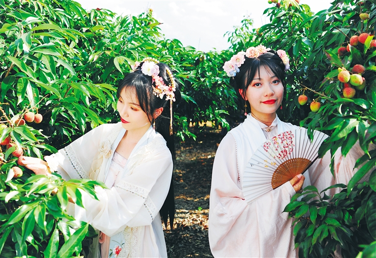 地瓜富硒叶面肥（地瓜叶施肥什么肥料好）-硒宝网