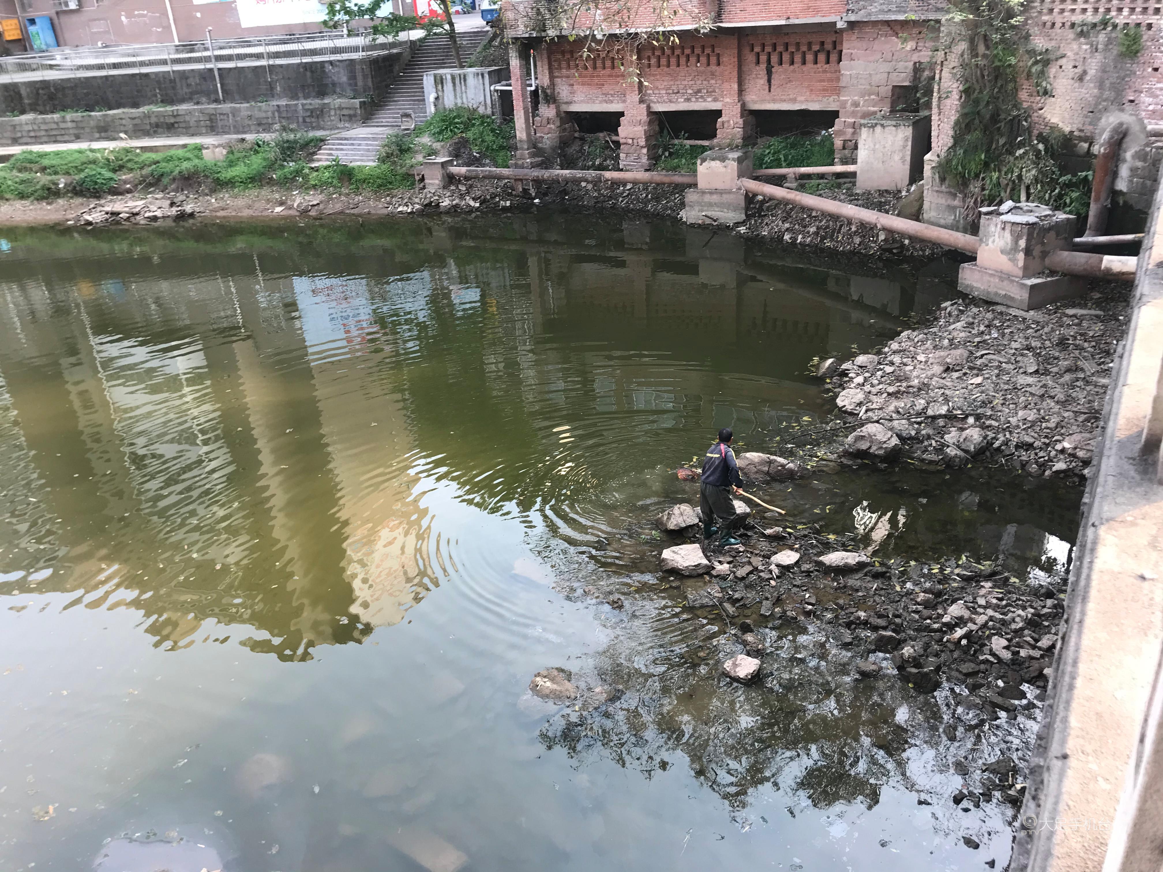 临沭富硒地瓜干（富硒地瓜口感怎么样）-硒宝网