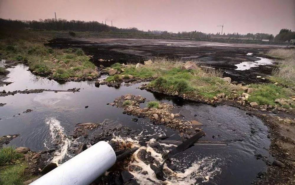 临沭富硒地瓜干（富硒地瓜口感怎么样）-硒宝网