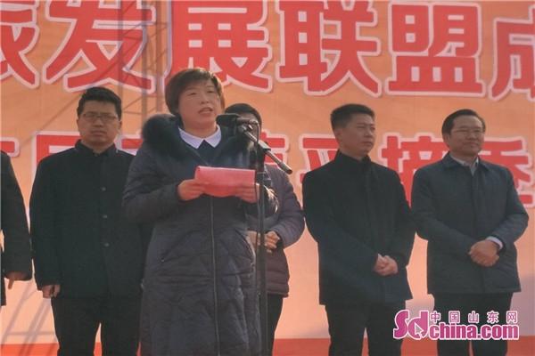 博山富硒地瓜节(博山地瓜哪里甜)-硒宝网