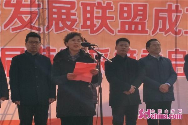 博山富硒地瓜节(博山地瓜哪里甜)-硒宝网