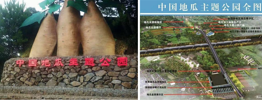 富硒地瓜干做法（地瓜干的作法）-硒宝网