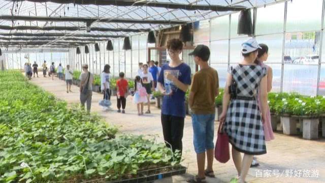 富硒地瓜干做法（地瓜干的作法）-硒宝网