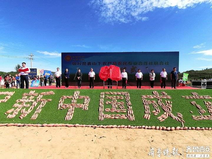 富硒流油烤地瓜（地瓜油的功效）-硒宝网