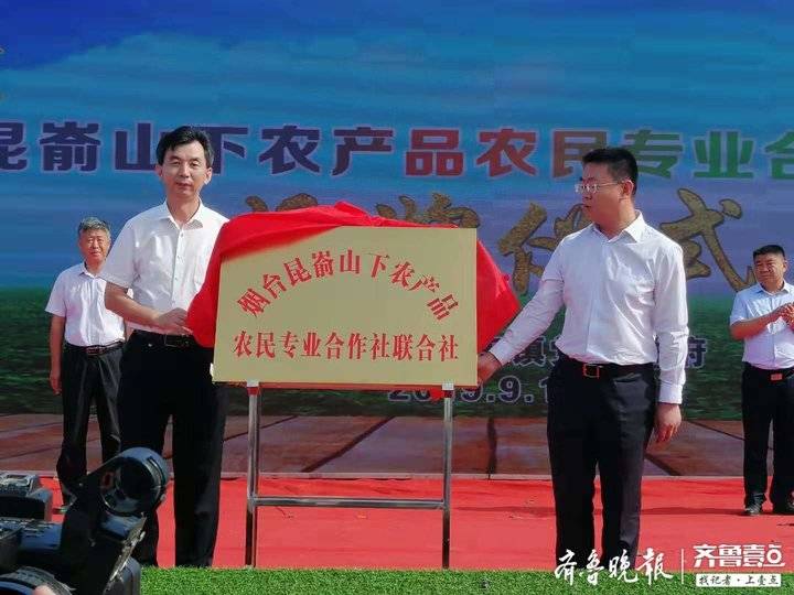 富硒流油烤地瓜（地瓜油的功效）-硒宝网