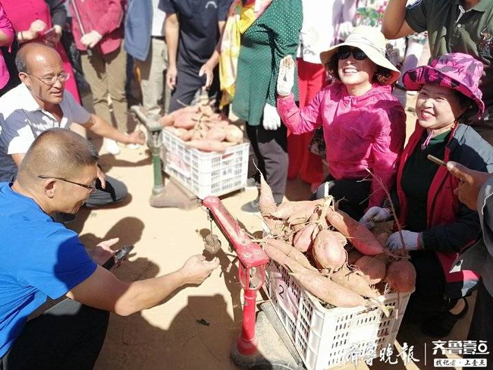 富硒流油烤地瓜（地瓜油的功效）-硒宝网