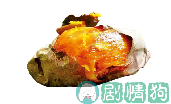 富硒地瓜能烤吗(富硒地瓜对人体有什么好处)-硒宝网