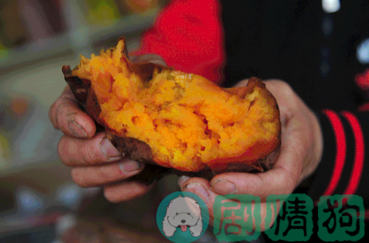 富硒地瓜能烤吗(富硒地瓜对人体有什么好处)-硒宝网