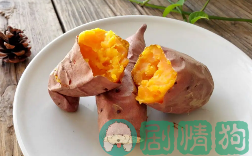 富硒地瓜能烤吗(富硒地瓜对人体有什么好处)-硒宝网