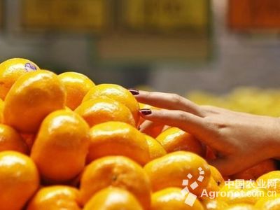 富硒地瓜什么样（富硒地瓜有什么好处）-硒宝网