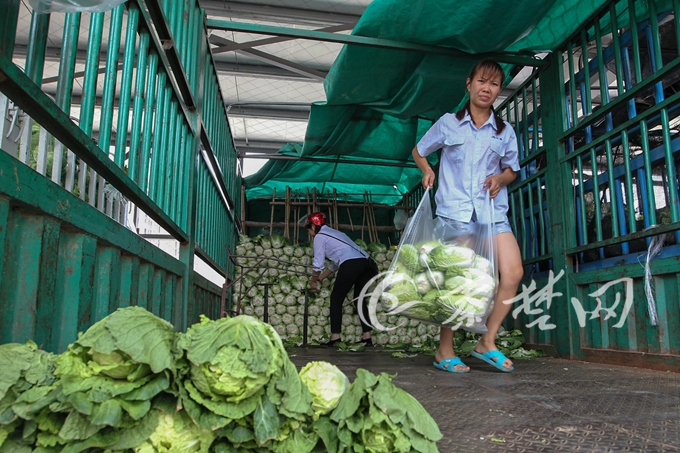 富硒地瓜零售价(零售价地瓜富硒多少钱)-硒宝网