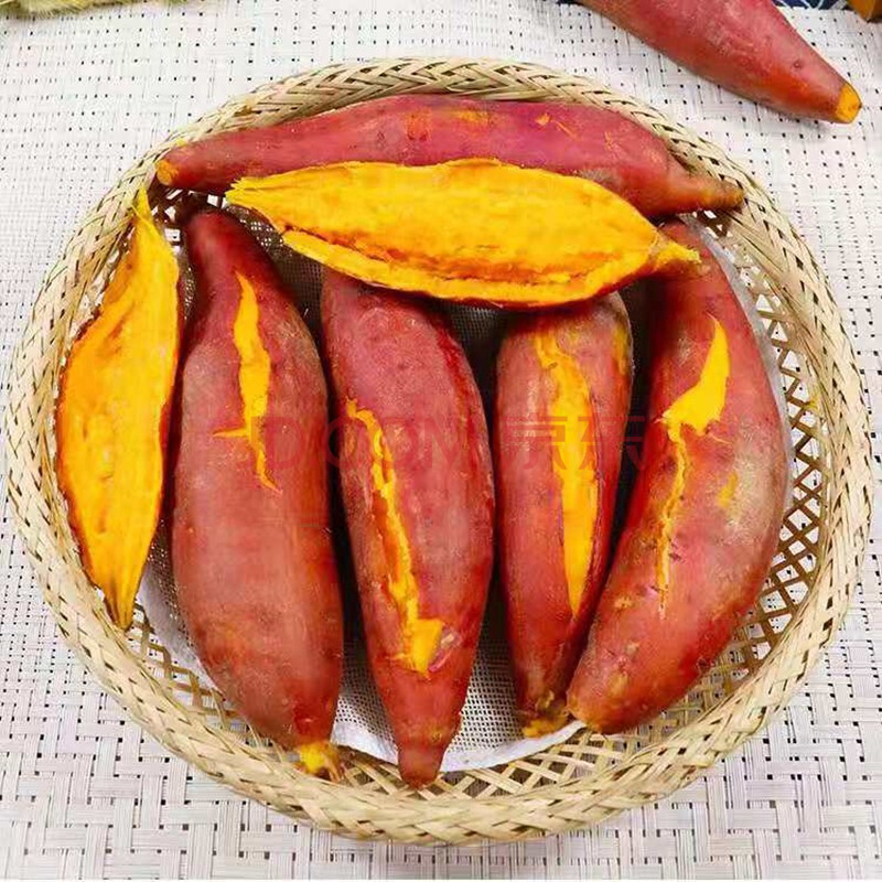 流油的富硒地瓜（地瓜有没有油）-硒宝网