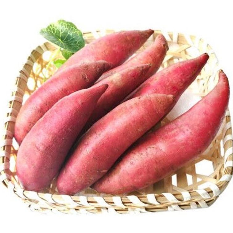 流油的富硒地瓜（地瓜有没有油）-硒宝网