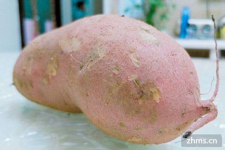 富硒烤地瓜胖吗（富硒地瓜含糖量高吗）-硒宝网