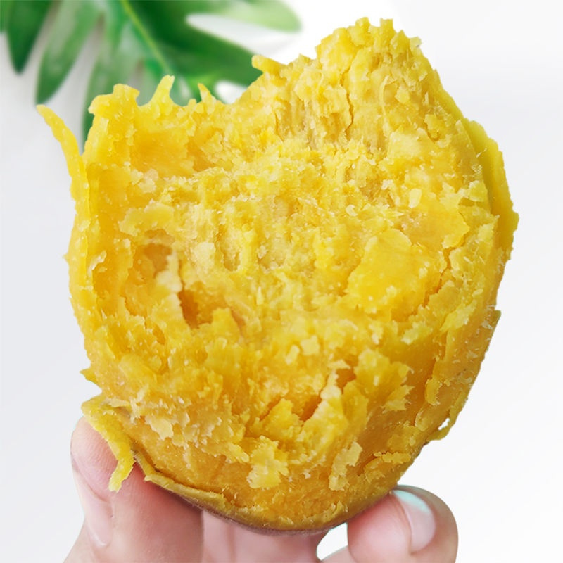 富硒地瓜零售价（富硒地瓜真的含硒吗）-硒宝网