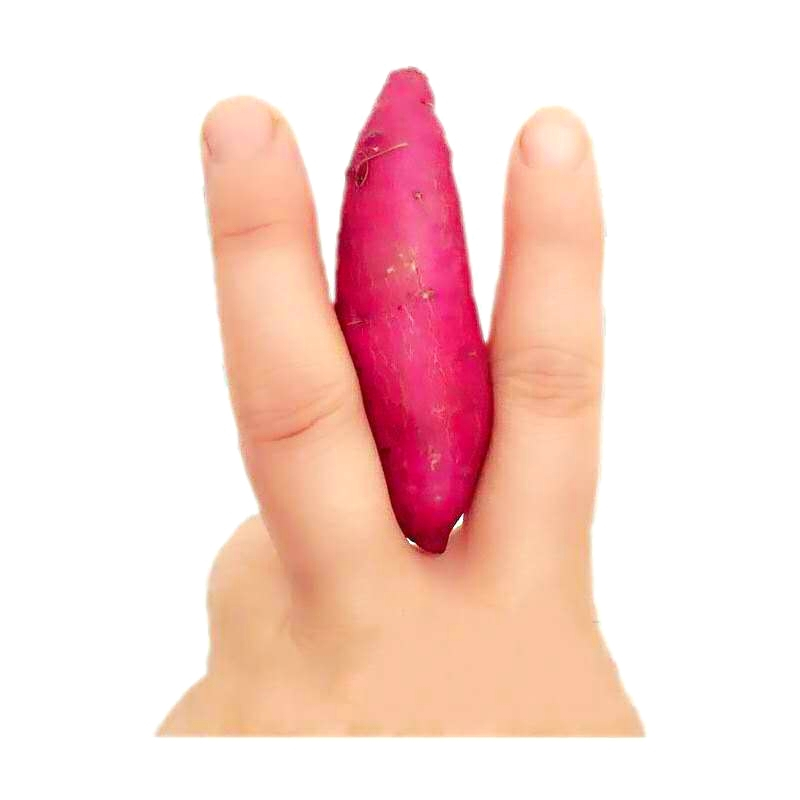 富硒地瓜零售价（富硒地瓜真的含硒吗）-硒宝网