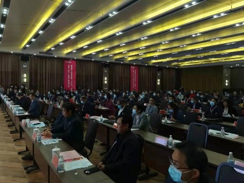 桥沙富硒地瓜苗(富硒地瓜的好处)-硒宝网