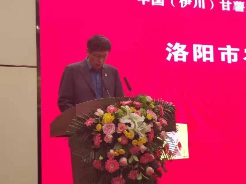 桥沙富硒地瓜苗(富硒地瓜的好处)-硒宝网