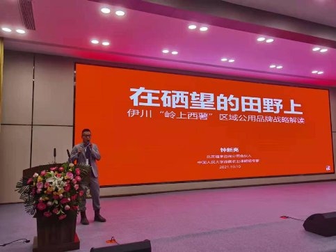 桥沙富硒地瓜苗(富硒地瓜的好处)-硒宝网