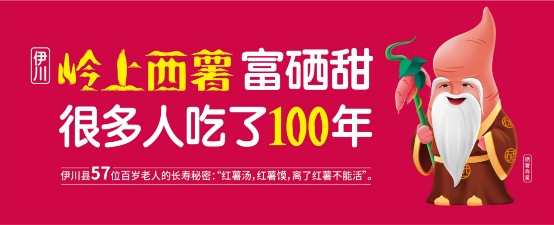 桥沙富硒地瓜苗(富硒地瓜的好处)-硒宝网