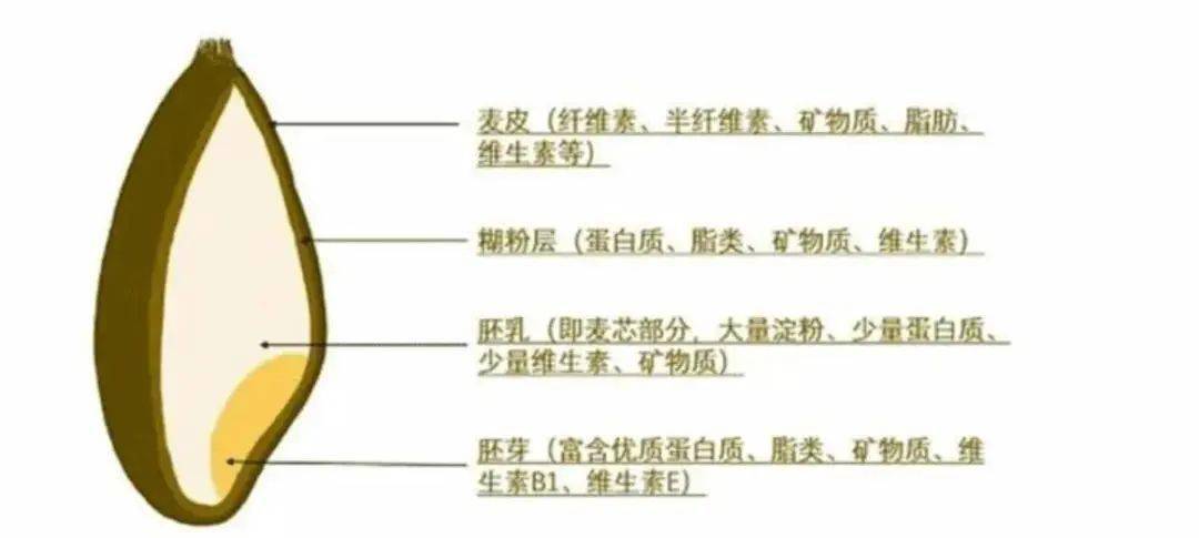 硒粮富硒面粉6(富硒面粉硒含量标准)-硒宝网