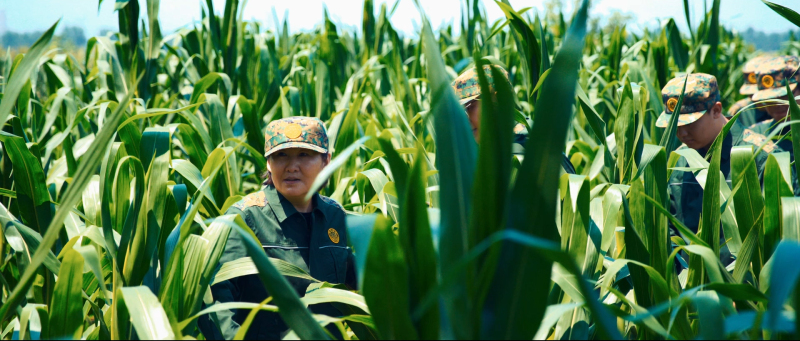 富硒面粉生产地(富硒面粉价格)-硒宝网