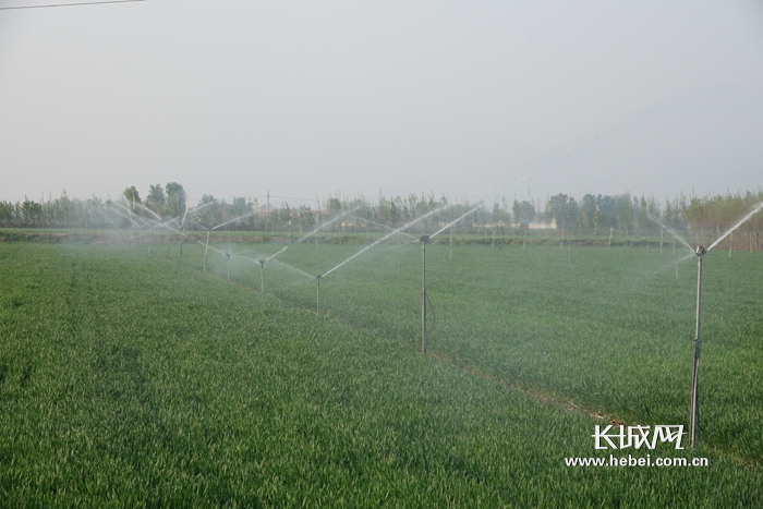 富硒黑面粉吃法（富硒面粉为什么黑）-硒宝网
