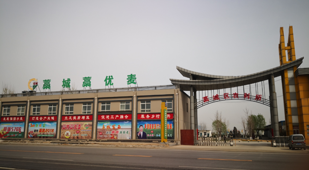 寿之本富硒面粉(富硒面粉怎么样)-硒宝网