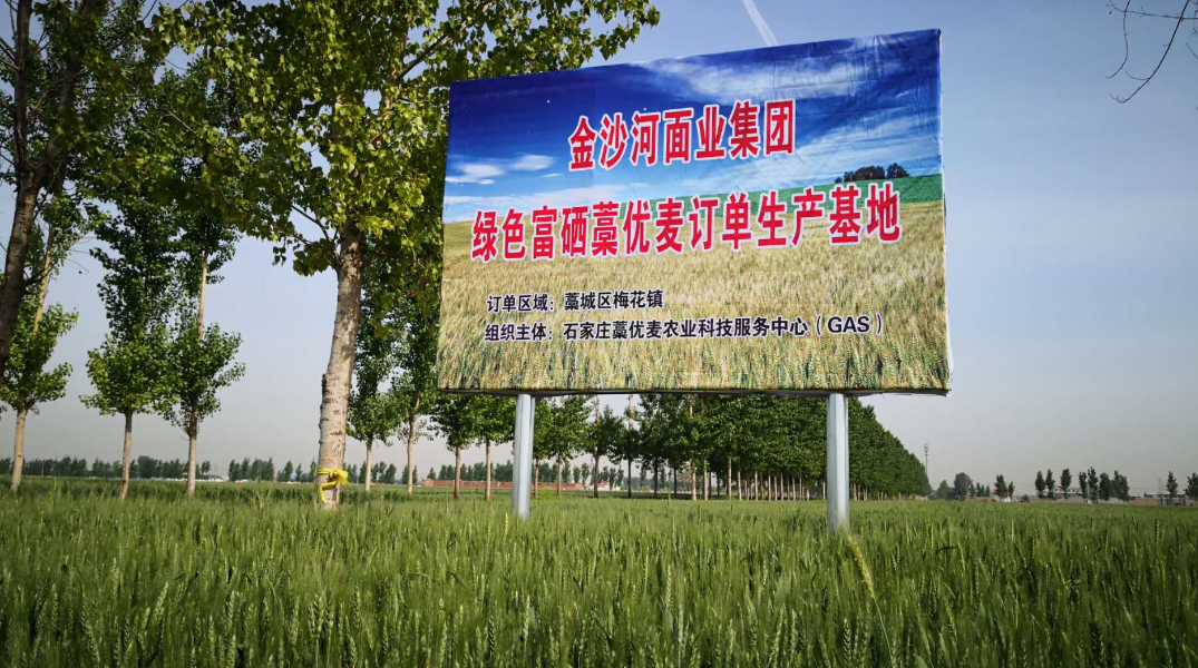 寿之本富硒面粉(富硒面粉怎么样)-硒宝网