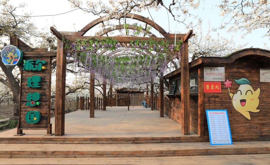 寿之本富硒面粉(富硒面粉怎么样)-硒宝网