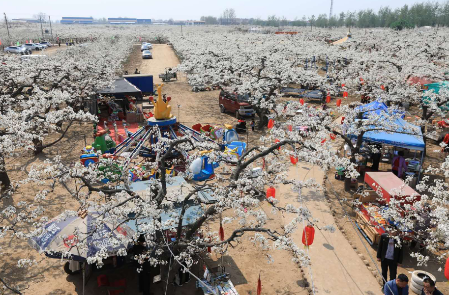 寿之本富硒面粉(富硒面粉怎么样)-硒宝网