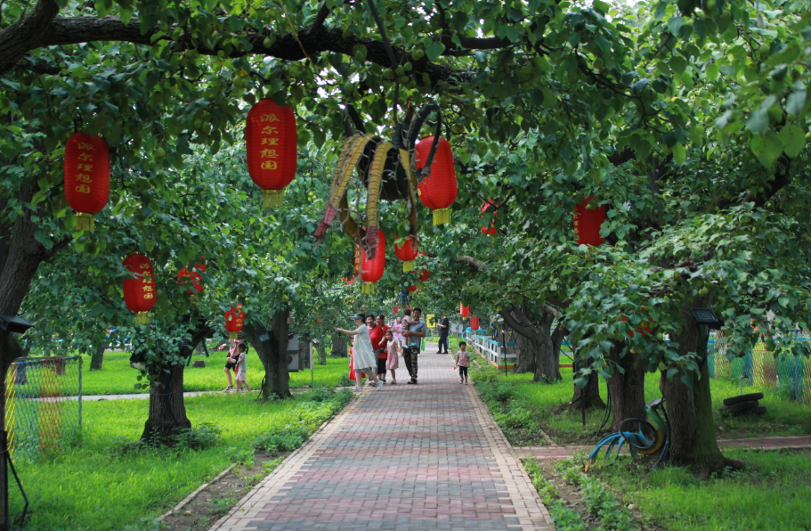 寿之本富硒面粉(富硒面粉怎么样)-硒宝网