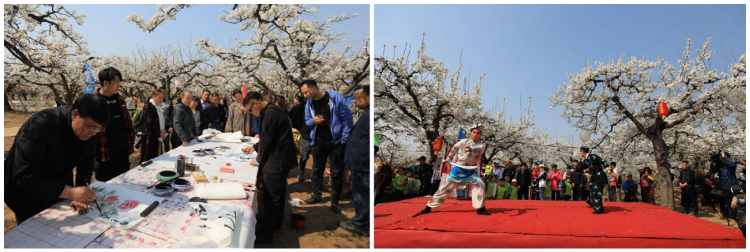 寿之本富硒面粉(富硒面粉怎么样)-硒宝网