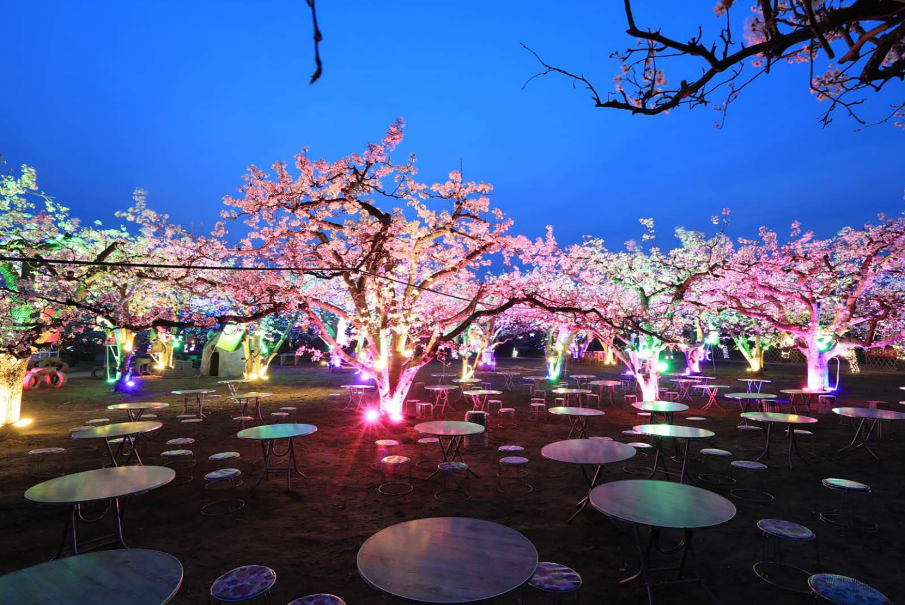 寿之本富硒面粉(富硒面粉怎么样)-硒宝网