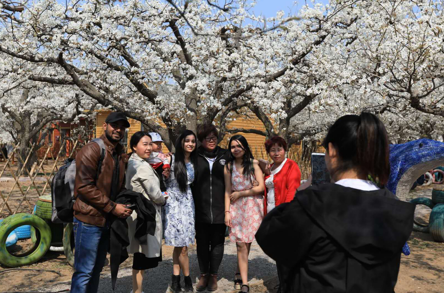 寿之本富硒面粉(富硒面粉怎么样)-硒宝网