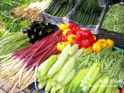 富硒面粉收购价(富硒面粉厂)-硒宝网