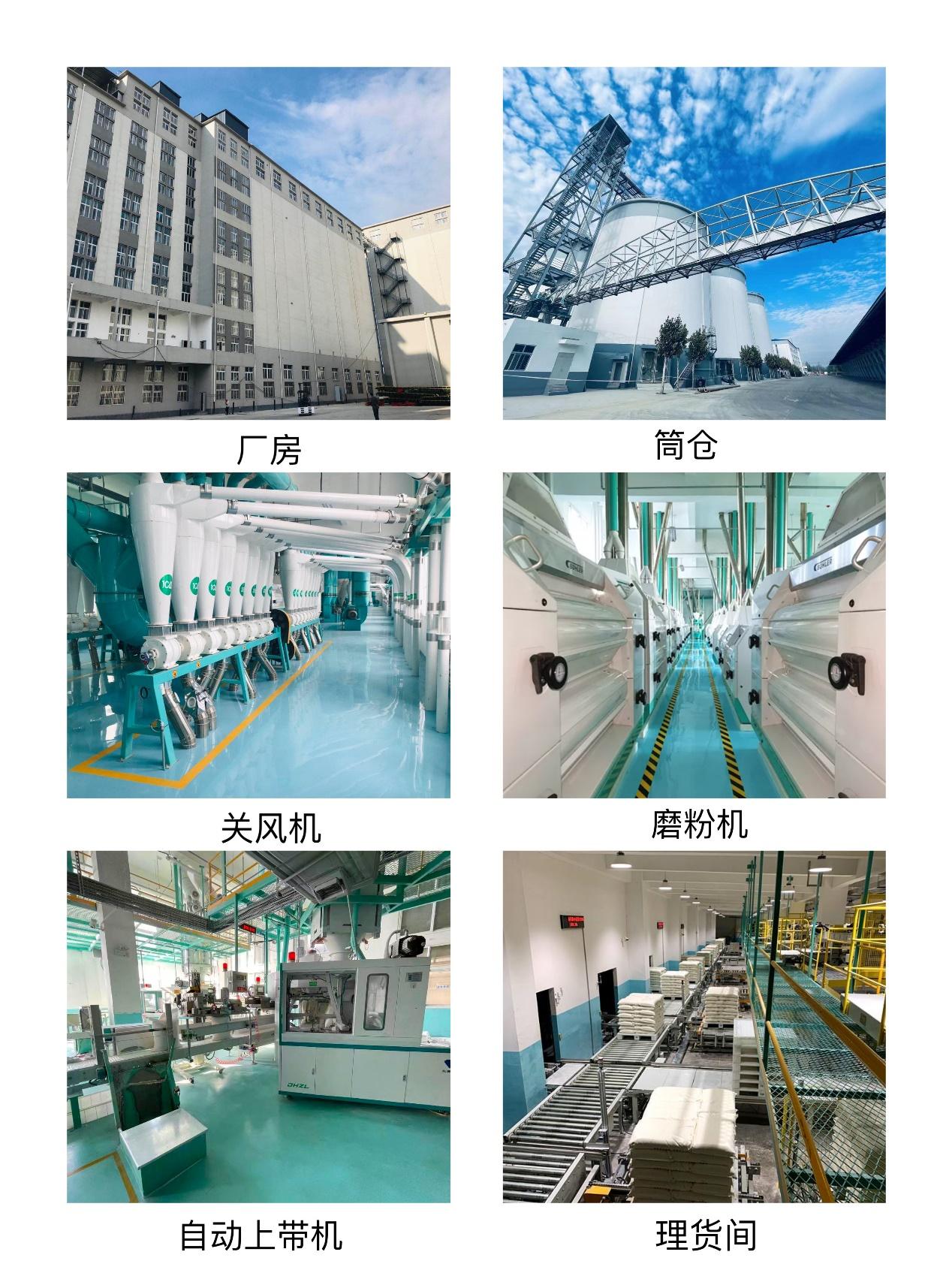 邯郸富硒面粉厂(邯郸富硒农业科技公司)-硒宝网