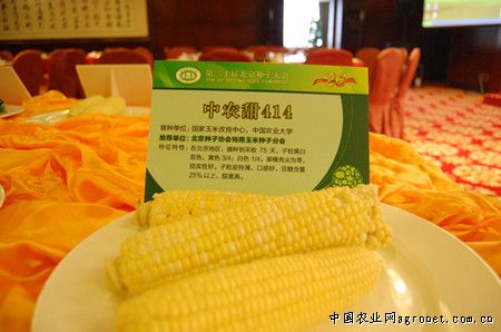 富硒面粉收购价(富硒面粉是骗局吗)-硒宝网