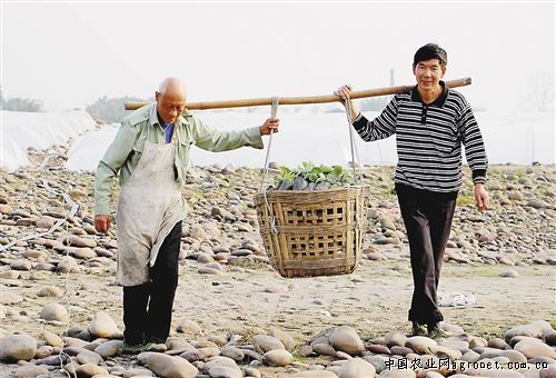 富硒面粉排行榜（2021面粉排行榜）-硒宝网