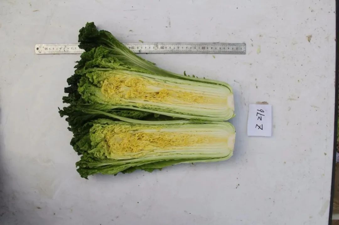 富硒蔬菜 含量(蔬菜含量富硒有哪些)-硒宝网